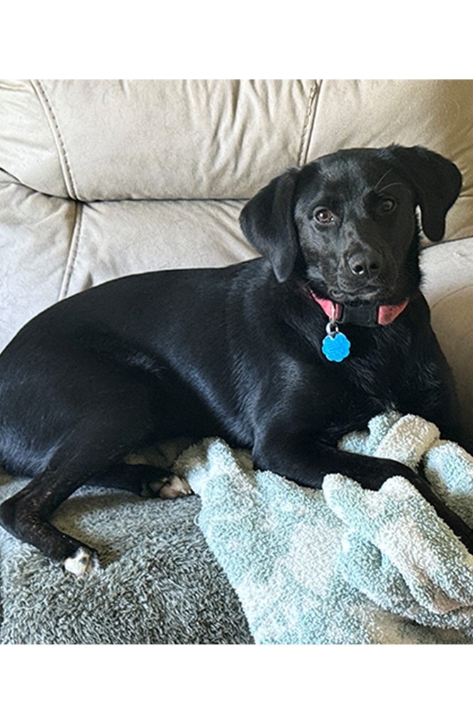 Photo of Bella