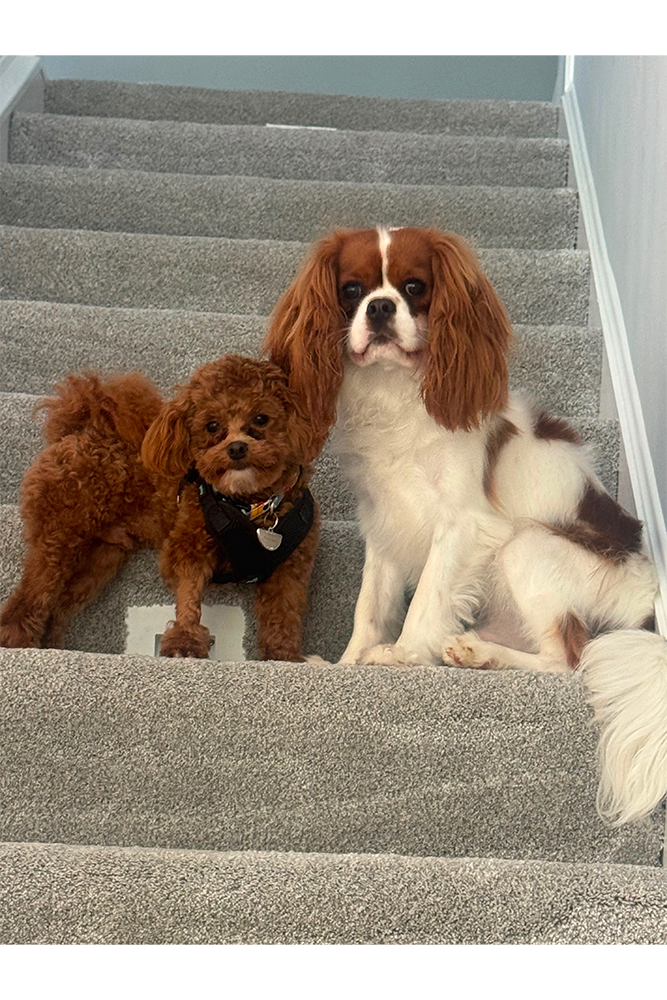 Photo Of Giano & Roo